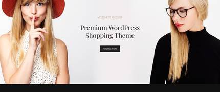 Accessories-网上在线购物商城WordPress主题